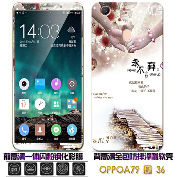 OLOEY OPPOA79 手機(jī)殼/保護(hù)套