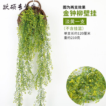 創(chuàng)意掛墻，讓你的家煥然一新