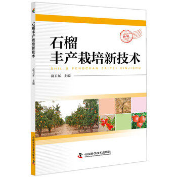 石榴