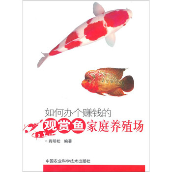 觀賞魚家庭