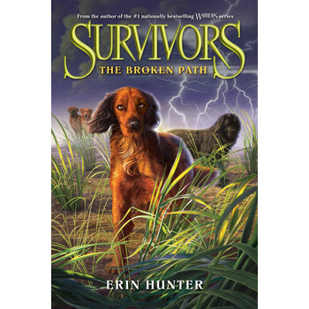survivors