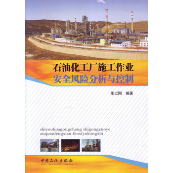 安全分析