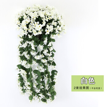創(chuàng)意掛墻，讓你的家煥然一新