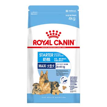 royal,����,royal,�Ƽ�,�ʼ�,����,����,�ʼ�,Ȯ�������а�