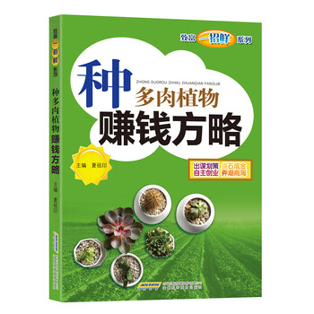 多肉植物