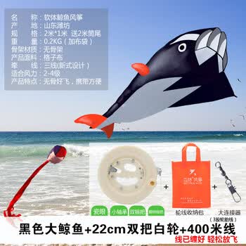 ���庣�����