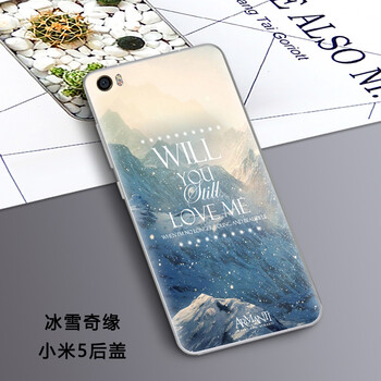 后蓋浮雕