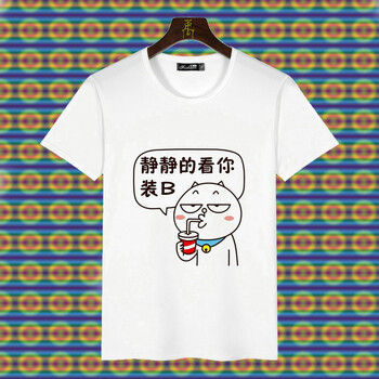 鼎度（DINGDU） 短袖 男士T恤 靜靜裝B 