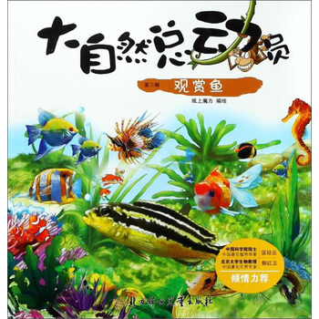 觀賞魚