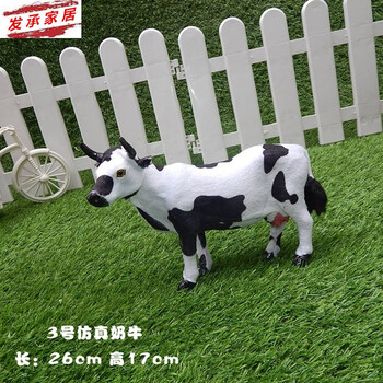 仿真,仿真,怎么樣,動物,動物,標(biāo)本,標(biāo)本