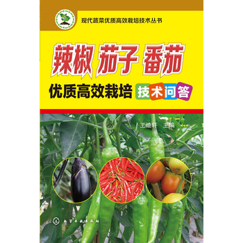 辣椒番茄