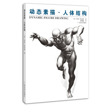 動(dòng)態(tài)素描人體結(jié)構(gòu)