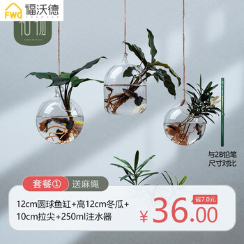 玻璃花瓶擺件，打造精致家居生活