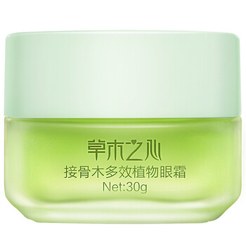 接骨木