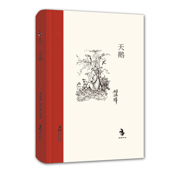天鵝