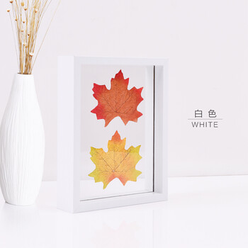 創(chuàng)意,標(biāo)本,創(chuàng)意,植物,植物,標(biāo)本,怎么樣
