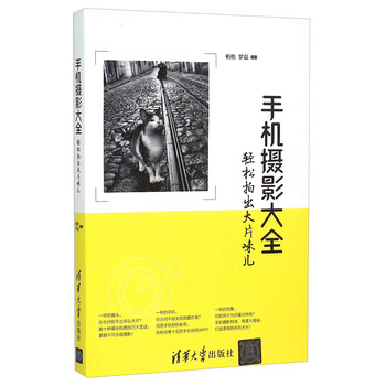 手機拍大片