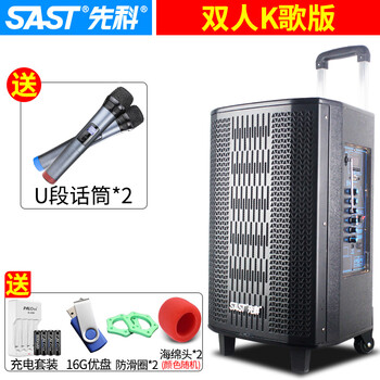 先科（SAST） 1202 音箱/音響 12英寸雙咪