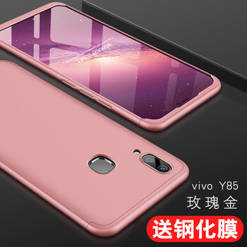 vivov85