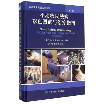 指南