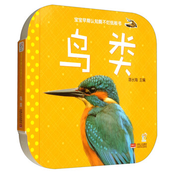 寶寶撕不爛