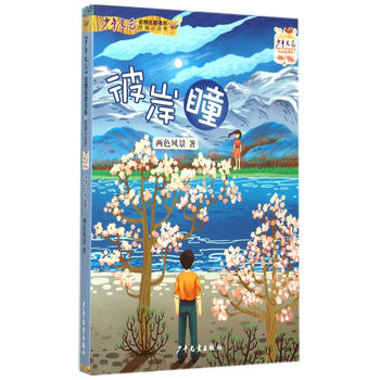 少年小說(shuō)