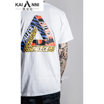 凱安尼（KAIANNI） 短袖 男士T恤 白色 white S