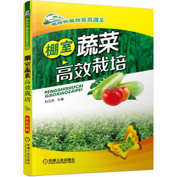 蔬菜栽培