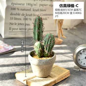 創(chuàng)意花瓶，讓你的家變成藝術(shù)美人