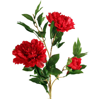 牡丹花插花