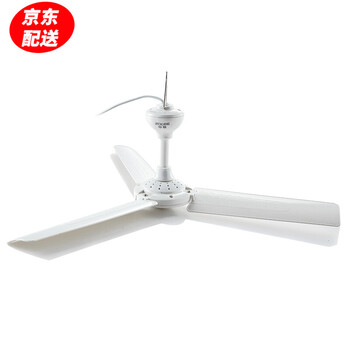 清涼度夏，立式風(fēng)扇讓生活更舒適