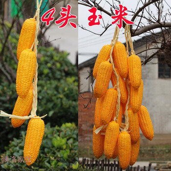 田園風(fēng)花卉，營(yíng)造浪漫唯美的家