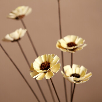 田園風(fēng)花瓶，營造浪漫家居生活