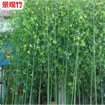 唯美仿真花，打造田園風(fēng)的家
