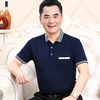 權(quán)威龍（quanweilong） 短袖 男士T恤 D018深藍(lán) 