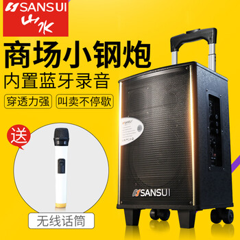 拉桿8寸電瓶音箱