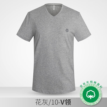 愛(ài)登堡（edenbo） 短袖 男士T恤 灰色V領(lǐng) 