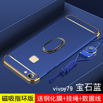 vivo丫79