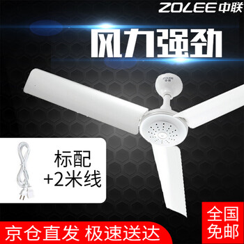 中聯(lián)（ZOLEE） FD10-70 電風(fēng)扇