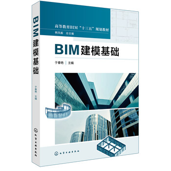 bim建模基礎(chǔ)