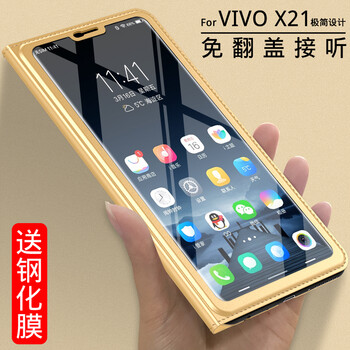 卡倫頓（karen burton kB） VIVO X21 手機殼/保護套