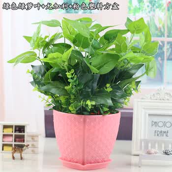 �ֹ���Ʒ,�ֹ���Ʒ,����,ֲ��,ֲ��,���а�,�Ƽ�