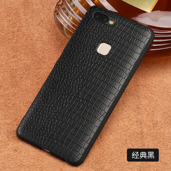 阿西迪巴（Ashle Tipet） vivo X20/X20plus 手機殼/保護套