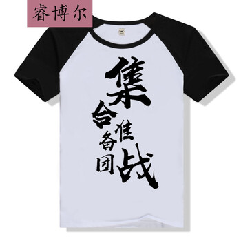 睿博爾 長(zhǎng)袖 男士T恤 集戰(zhàn)插肩短袖 S