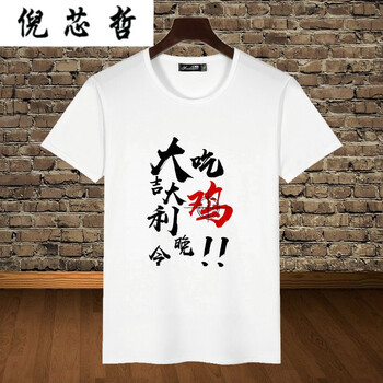 倪芯哲（N.XINZHE） 短袖 男士T恤 9#求生吃雞 M