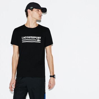 LACOSTE 短袖 男士T恤 258 