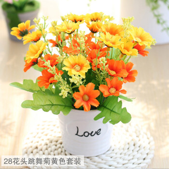 排名,花盆,排行榜,陶瓷,陶瓷,花盆,推薦