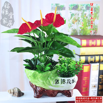 室內(nèi)蔬菜盆栽