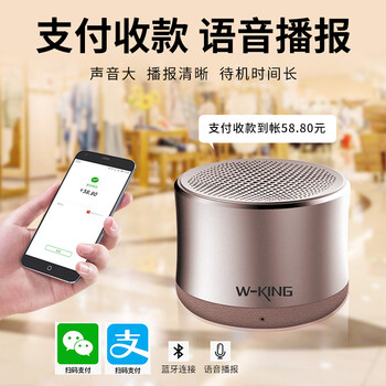 維爾晶（W-King） W7 音箱/音響 金色(送網(wǎng)袋）