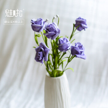 精美花瓶，給你一個(gè)浪漫的生活